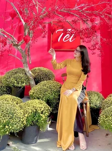 Celebrate the Beauty of Vietnamese Traditions: Elegant Ao Dai and Vibrant Spring Markets for the Lunar New Year - image 3