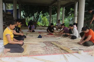 Exploring Community Tourism Villages with Ho Van Cuong's Wife - image 1