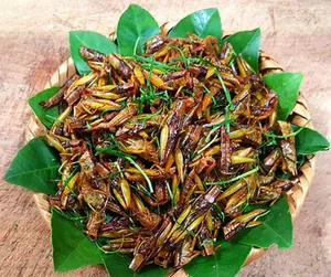 Discover 7 Must-Try Yen Bai Culinary Specialties for Food Lovers - image 2