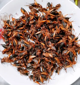 Discover 7 Must-Try Yen Bai Culinary Specialties for Food Lovers - image 0