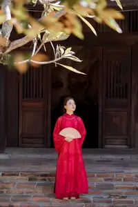 Graceful Vietnamese Traditional Ao Dai: Timeless Elegance 1000024747 - image 17