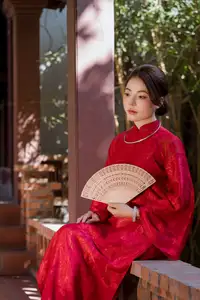 Graceful Vietnamese Traditional Ao Dai: Timeless Elegance 1000024747 - image 2