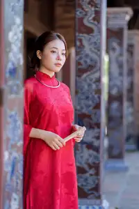 Graceful Vietnamese Traditional Ao Dai: Timeless Elegance 1000024747 - image 10