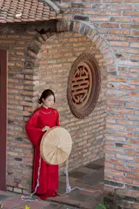 Graceful Vietnamese Traditional Ao Dai: Timeless Elegance 1000024747 - image 5