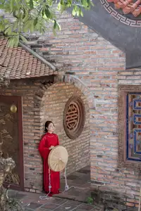 Graceful Vietnamese Traditional Ao Dai: Timeless Elegance 1000024747 - image 18