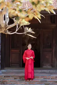 Graceful Vietnamese Traditional Ao Dai: Timeless Elegance 1000024747 - image 12