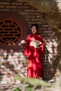 Graceful Vietnamese Traditional Ao Dai: Timeless Elegance 1000024747 - image 1