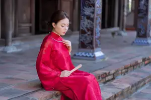 Graceful Vietnamese Traditional Ao Dai: Timeless Elegance 1000024747 - image 0