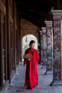 Graceful Vietnamese Traditional Ao Dai: Timeless Elegance 1000024747 - image 7