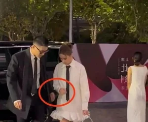 Laurinda Ho and Shawn Dou: Addressing the Divorce Rumors and Social Gaps - image 9