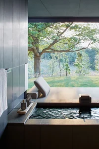 Luxury Ryokan Guide: Experience Ultimate Traditional Japanese Hospitality and Onsen Culture - image 3