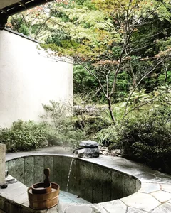 Luxury Ryokan Guide: Experience Ultimate Traditional Japanese Hospitality and Onsen Culture - image 1
