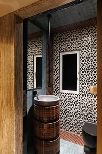 Duplex Living Redefined: A Two-Story Apartment of Contrasting Identities - image 17
