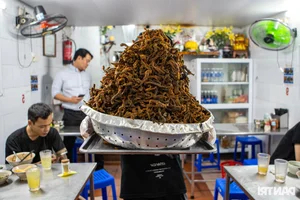 Tiny 20sqm Hanoi Eel Noodle Shop Earns Michelin Recognition - image 2