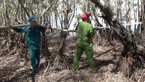 Investigation Launched Into Devastating Wildfire at Tram Chim National Park - image 7