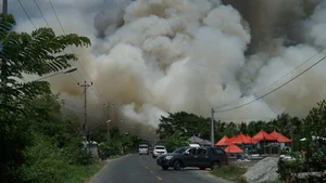 Investigation Launched Into Devastating Wildfire at Tram Chim National Park - image 5