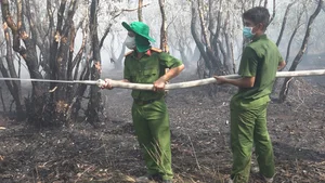 Investigation Launched Into Devastating Wildfire at Tram Chim National Park - image 1