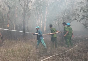 Investigation Launched Into Devastating Wildfire at Tram Chim National Park - image 0