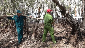 Investigation Launched Into Devastating Wildfire at Tram Chim National Park - image 3