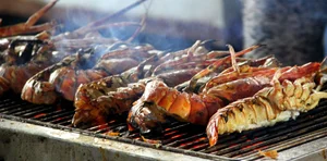 Discovering Bai Dong: The Ultimate Travel Guide to Thanh Hoa’s Hidden Coastal Gem - image 6