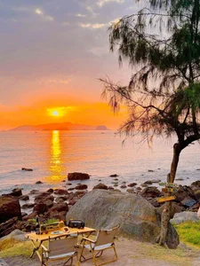 Discovering Bai Dong: The Ultimate Travel Guide to Thanh Hoa’s Hidden Coastal Gem - image 5