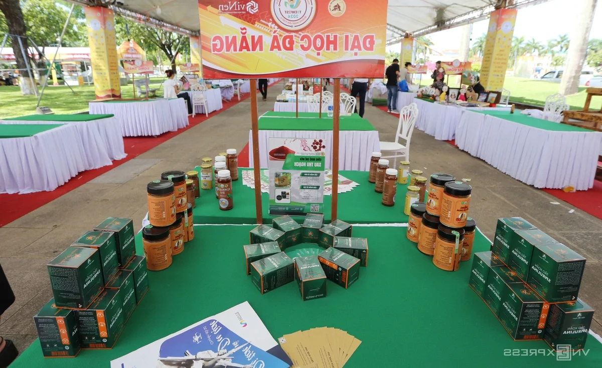 Techfest Quang Nam: Showcasing Cutting-Edge Science and Technology