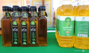 Techfest Quang Nam: Showcasing Cutting-Edge Science and Technology - image 8