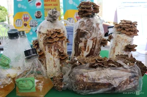 Techfest Quang Nam: Showcasing Cutting-Edge Science and Technology - image 2