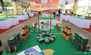 Techfest Quang Nam: Showcasing Cutting-Edge Science and Technology - image 0