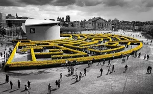 Picking Tulips at the Van Gogh Museum: A Magical Floral Experience in the Heart of Amsterdam - image 5