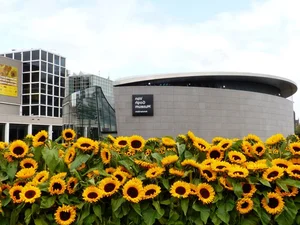 Picking Tulips at the Van Gogh Museum: A Magical Floral Experience in the Heart of Amsterdam - image 8