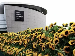 Picking Tulips at the Van Gogh Museum: A Magical Floral Experience in the Heart of Amsterdam - image 6