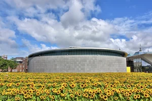 Picking Tulips at the Van Gogh Museum: A Magical Floral Experience in the Heart of Amsterdam - image 3
