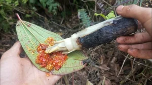 7 Unique Specialties of Binh Phuoc: A Culinary Journey Through Vietnam - image 4
