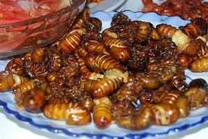 7 Unique Specialties of Binh Phuoc: A Culinary Journey Through Vietnam - image 3