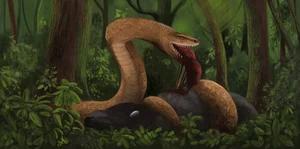 Discovery of 47-Million-Year-Old Giant Snake Fossil Astonishes Archaeologists - image 1