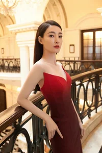 The Turbulent Career and Personal Life of Actress Wang Likun - image 0
