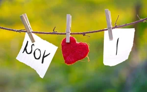 Romantic Couple Photography: Capturing Sweet and Timeless Love Stories - image 9