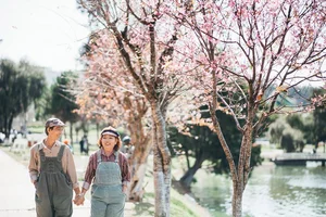Romantic Couple Photography: Capturing Sweet and Timeless Love Stories - image 30