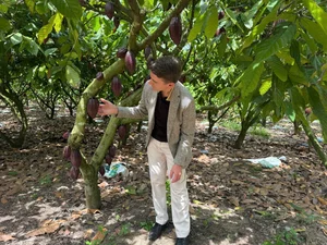 EU Ambassador Visits Dak Lak, Samples Premium Cocoa Directly at the Farm - image 3