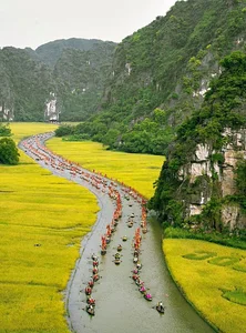 Top 5 Must-Try Travel Experiences in Phuong Oanh’s Favorite Scenic Destination - image 0