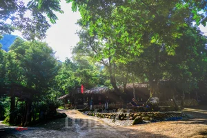 Experience the Magic of Suoi Co Vang: A Journey to Sleep Among the Clouds - image 19