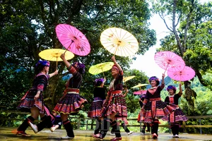 Experience the Magic of Suoi Co Vang: A Journey to Sleep Among the Clouds - image 8