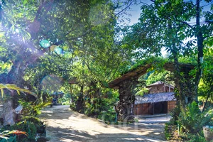 Experience the Magic of Suoi Co Vang: A Journey to Sleep Among the Clouds - image 5
