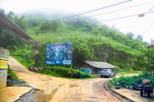 Experience the Magic of Suoi Co Vang: A Journey to Sleep Among the Clouds - image 7