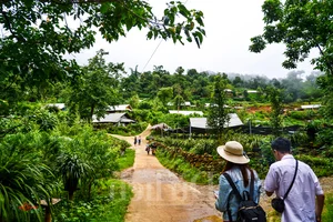 Experience the Magic of Suoi Co Vang: A Journey to Sleep Among the Clouds - image 11
