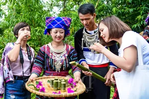 Experience the Magic of Suoi Co Vang: A Journey to Sleep Among the Clouds - image 9