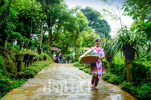 Experience the Magic of Suoi Co Vang: A Journey to Sleep Among the Clouds - image 17