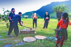 Experience the Magic of Suoi Co Vang: A Journey to Sleep Among the Clouds - image 16
