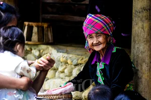 Experience the Magic of Suoi Co Vang: A Journey to Sleep Among the Clouds - image 3